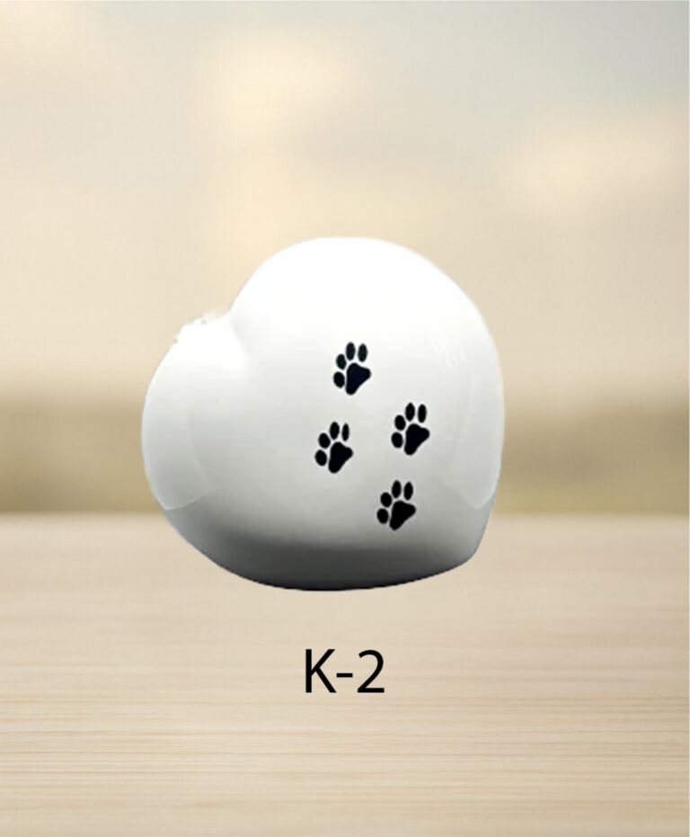 k_02